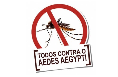 SED promove encontro com redes educacionais em combate ao Aedes aegypti
