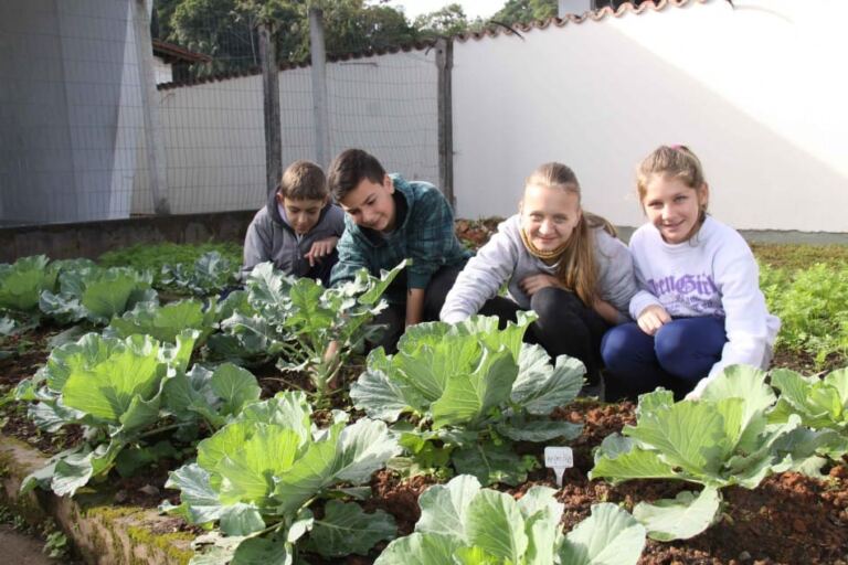 Energias renováveis: Alunos de Blumenau criam sistema de compostagem e construirão cisterna para captação de água da chuva e placa de energia solar