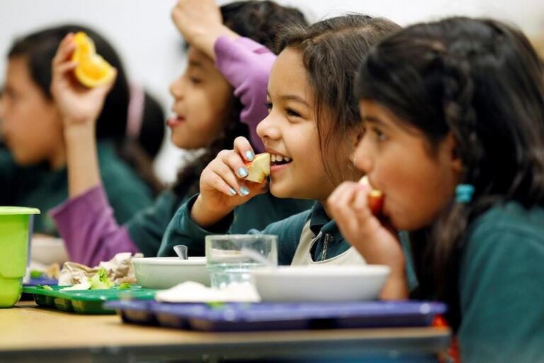 Liberado R$ 393 mi da alimentação e transporte escolar aos estados e municípios beneficiários pelos Programas