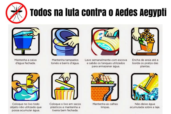 Estudantes ajudam no combate ao Aedes Aegypti na Capital