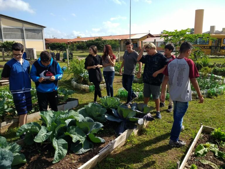 Estudantes da Capital trabalham no contraturno meio ambiente e sustentabilidade