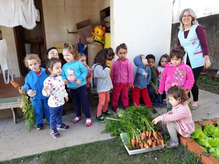Professoras de Tubarão reeducam alimentação das crianças através de horta