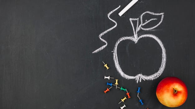 Câmara aprova destinação de recursos para o Conselho de Alimentação Escolar