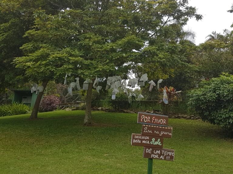 Árvore Literária na Fundação Indaialense de Cultura incentiva hábito da leitura na comunidade