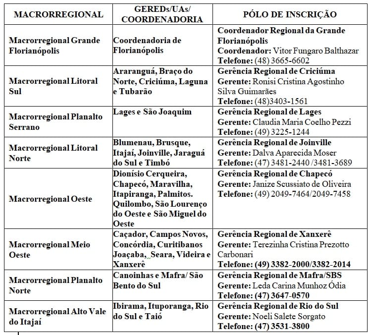 Avanço na finalização do Currículo Base da Educação Infantil e Ensino Fundamental do Território Catarinense