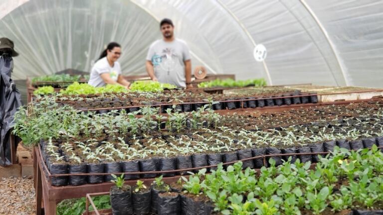 Escola de Piratuba é destaque em práticas agroecológicas