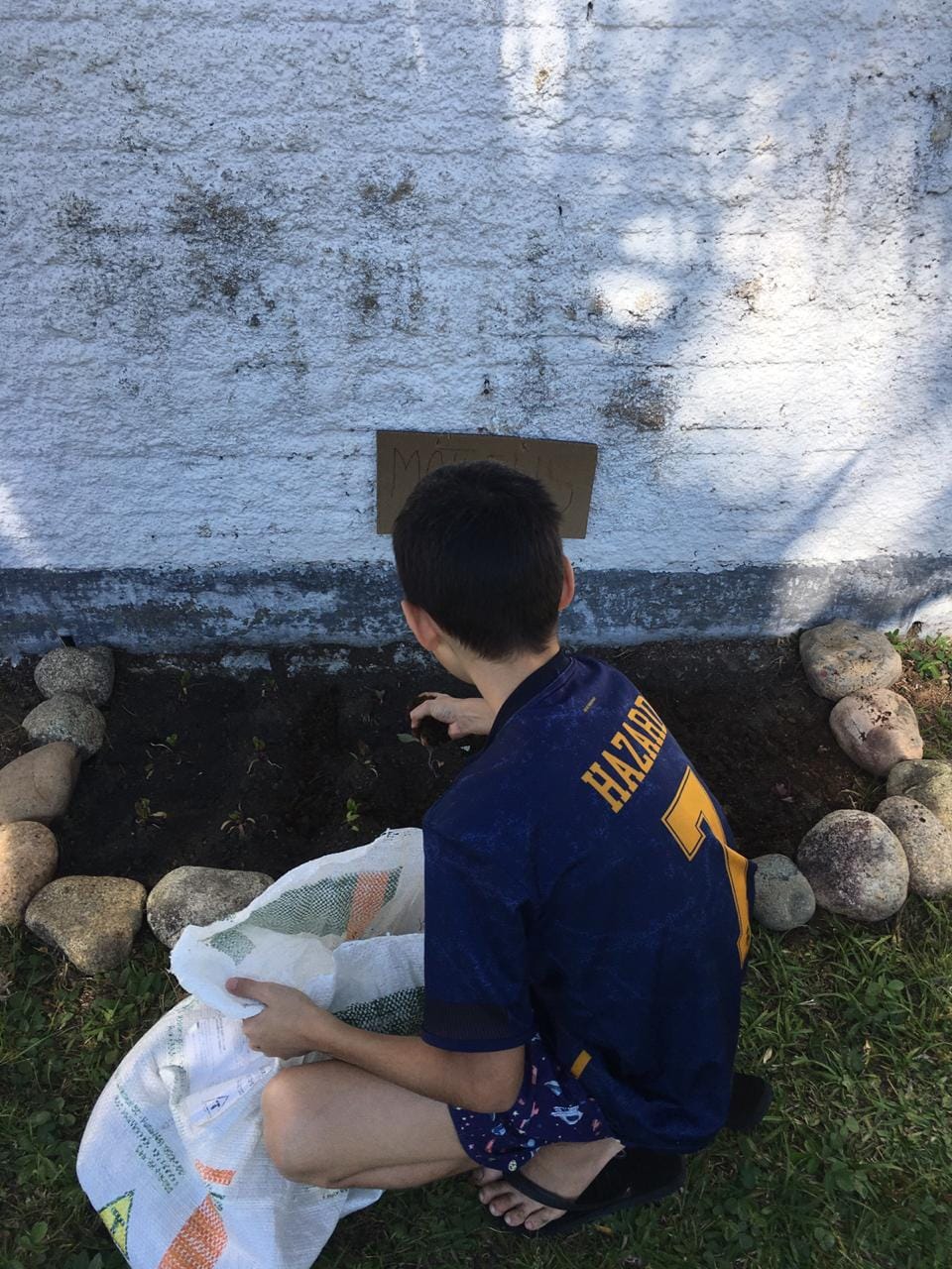 Horta em casa vira objeto de estudo para alunos do 6º ano de Paulo Lopes