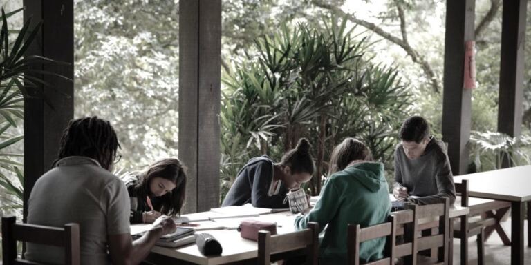 Instituto Alana lança documento com sugestões sobre o planejamento de reabertura das escolas e aprendizagem ao ar livre