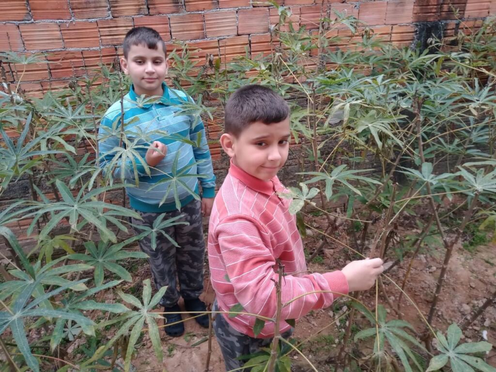 Projeto “Educando e Transformando com a Horta” modifica hábitos de alunos, pais e professores em São José