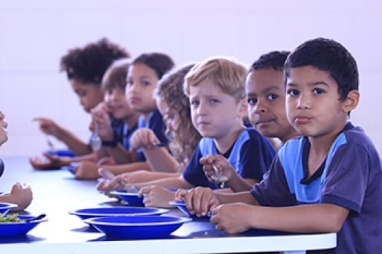 Renovações dos Conselhos de Alimentação Escolar já podem ser realizadas pelas Entidades Executoras do PNAE