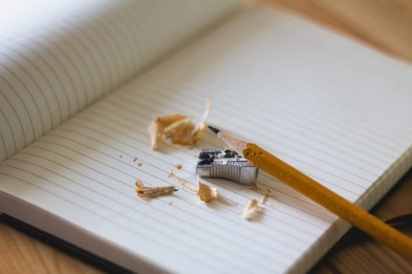 Aberto período de conferência dos dados do censo 2021