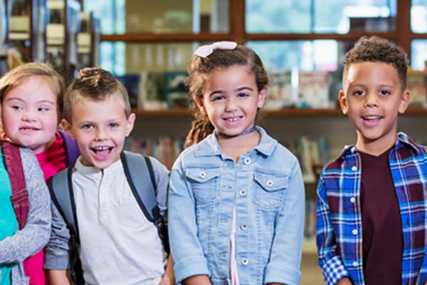 Instituto Rodrigo Mendes lança plataforma EAD com cursos sobre educação inclusiva