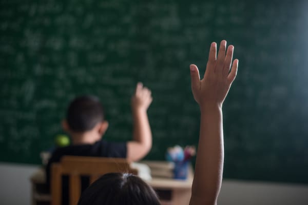 Educação remota deve ser complementar à educação presencial, dizem especialistas