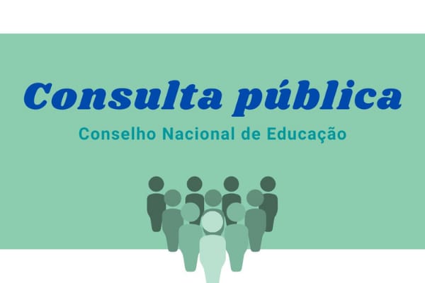 CNE abre consulta pública sobre aprendizagem híbrida, Novo Enem e diretrizes curriculares para a formação de professores da Educação Profissional Técnica