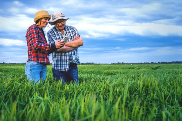 Já está disponível a quarta edição do Informe Agricultura Familiar e Pnae