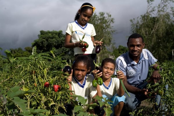 FNDE efetiva o pagamento de 11 parcelas do Pnae em 2021