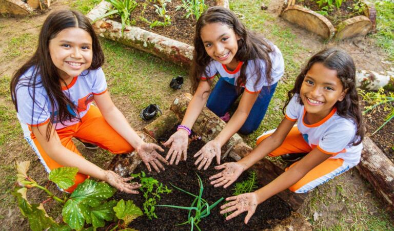 TiNis – Terra das Crianças: um conto pra sonharmos juntas e juntos. TiNi é um espaço de terra onde a gente cria Natureza e é criada por ela. Bastam três vasos ou meio metro quadrado de canteiro, e lembrar que tudo o que é cultivado deve ser bom para as crianças e adolescentes, suas famílias ou comunidades e para a própria Natureza.