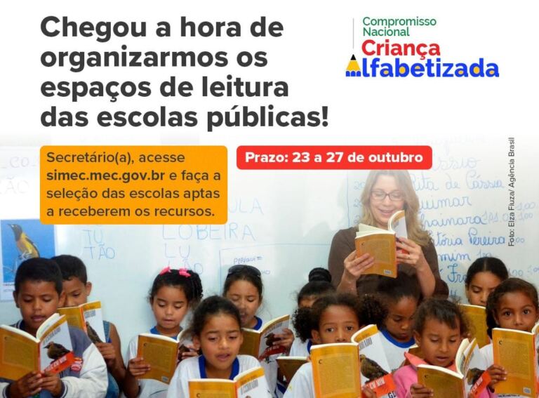 Compromisso Nacional Criança Alfabetizada: aberta seleção de escolas que vão receber espaços de leitura