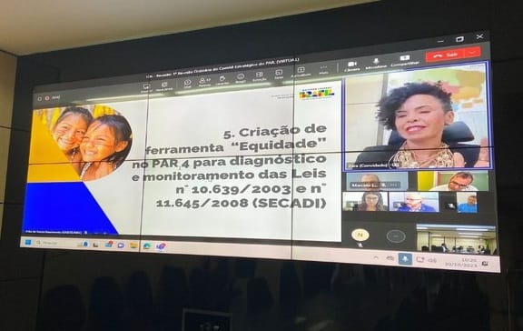 Compromisso Nacional Criança Alfabetizada: Comitê Estratégico aprova resolução do PATe