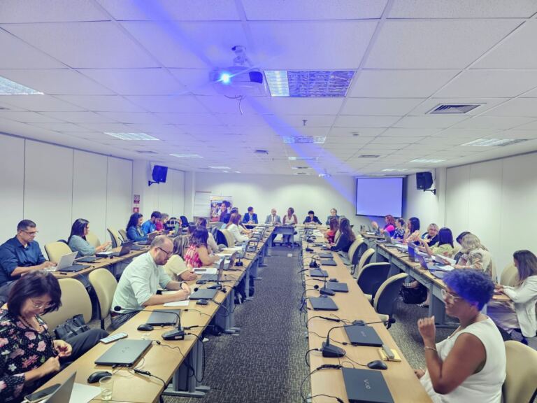 Representantes da Undime participam de reunião sobre os parâmetros de qualidade da educação infantil