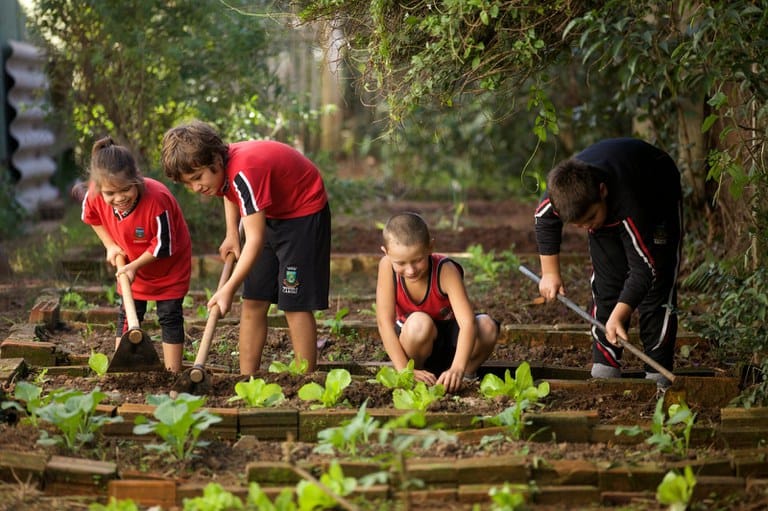 FNDE publica nota técnica para fortalecer a Educação Alimentar e Nutricional nos currículos escolares