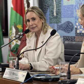 Presidente apresenta ações da Undime-SC em reunião plenária do Conselho Estadual de Educação