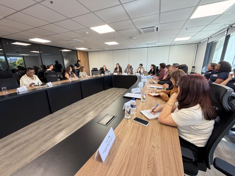 Undime participa de Grupo Técnico sobre condições de trabalho e saúde ocupacional do magistério na primeira infância