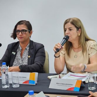 Undime participa da Reunião Ordinária do Comitê Estratégico Nacional do Compromisso Nacional Criança Alfabetizada