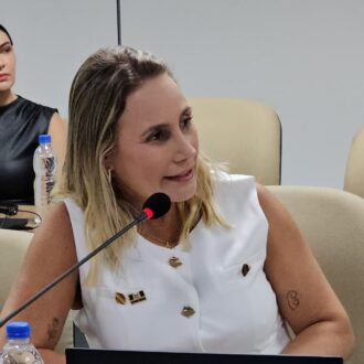 Undime participa da Reunião Ordinária do Comitê Estratégico Nacional do Compromisso Nacional Criança Alfabetizada