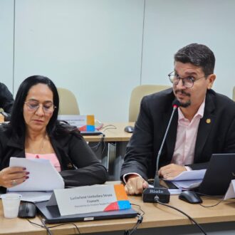 Undime participa da Reunião Ordinária do Comitê Estratégico Nacional do Compromisso Nacional Criança Alfabetizada