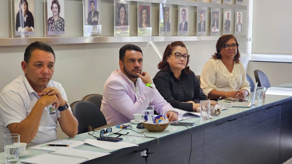 Conselho Fiscal da Undime se reúne em Brasília
