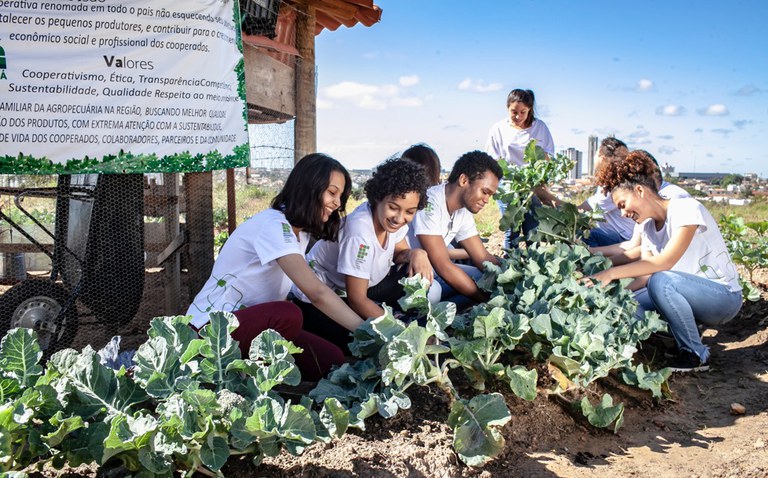 Aberta a adesão ao programa de cidadania e sustentabilidade