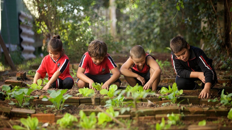Contrata+Brasil amplia compra direta da agricultura familiar para alimentação escolar em mais de 146 mil escolas