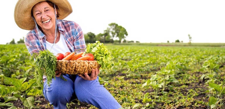 Nova resolução do FNDE fortalece participação das mulheres na alimentação escolar